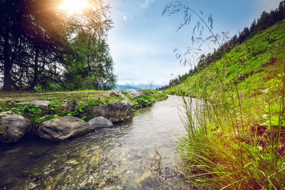 Weinwanderungen im Wallis